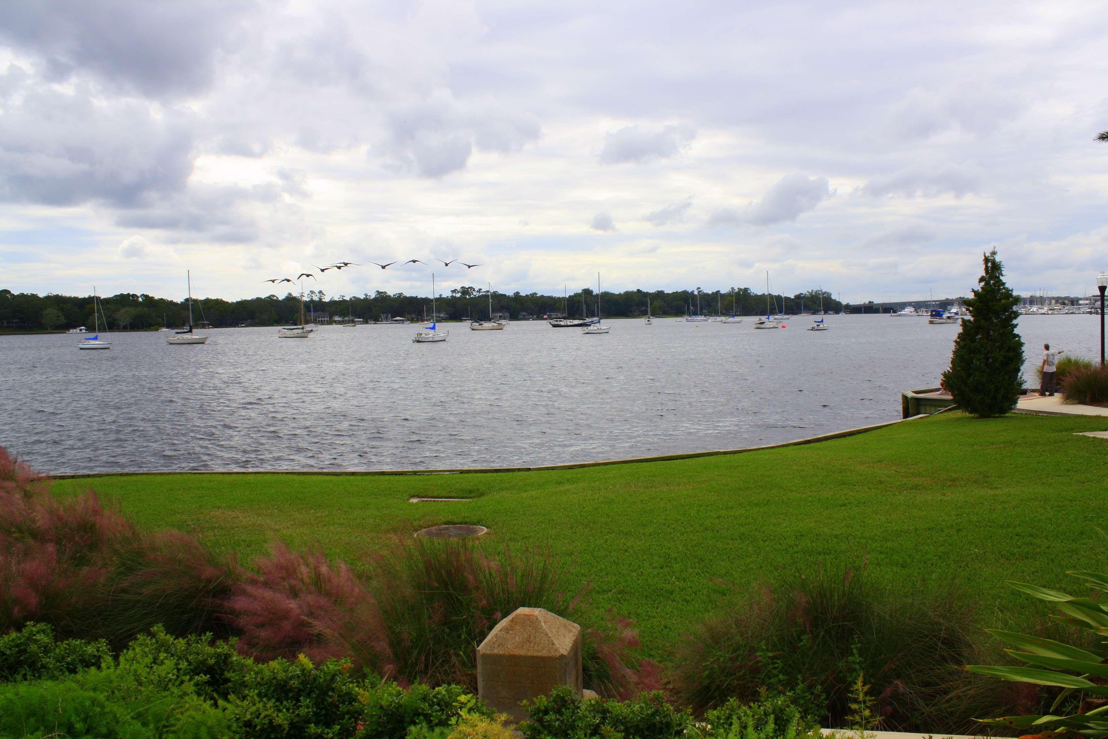 Hampton Inn Jacksonville - I-95 Central Екстер'єр фото